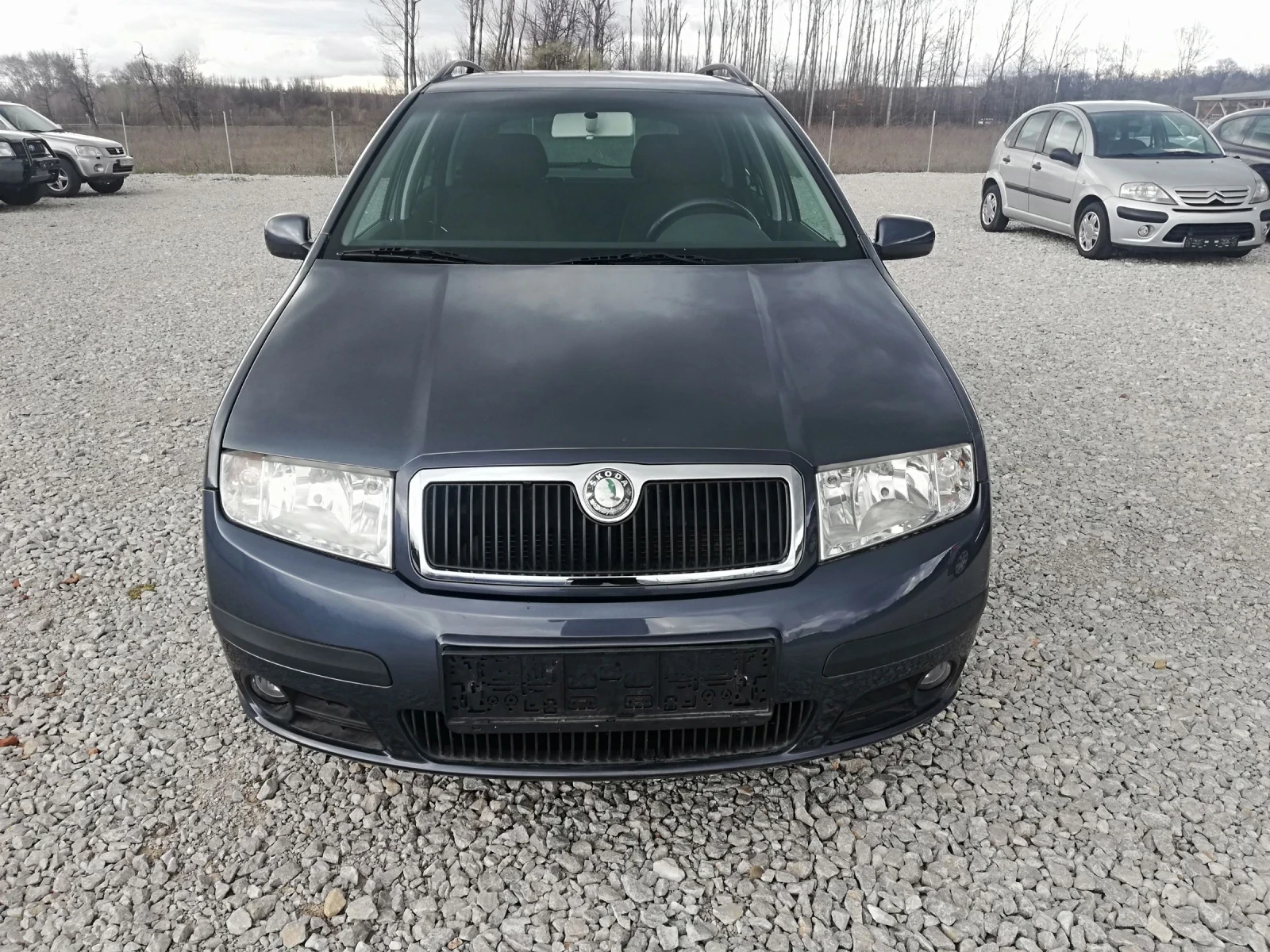 Skoda Fabia 1.4TDI klima, снимка 2 - Автомобили и джипове - 54006904