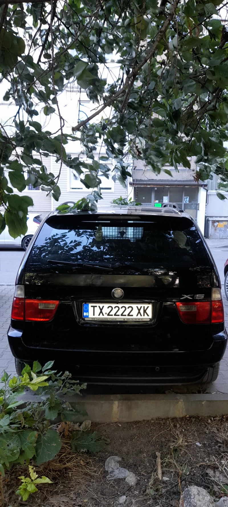 BMW X5 Bmw e53, снимка 3 - Автомобили и джипове - 52200301