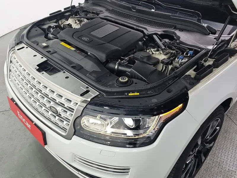 Land Rover Range rover 4.4, снимка 6 - Автомобили и джипове - 54504283