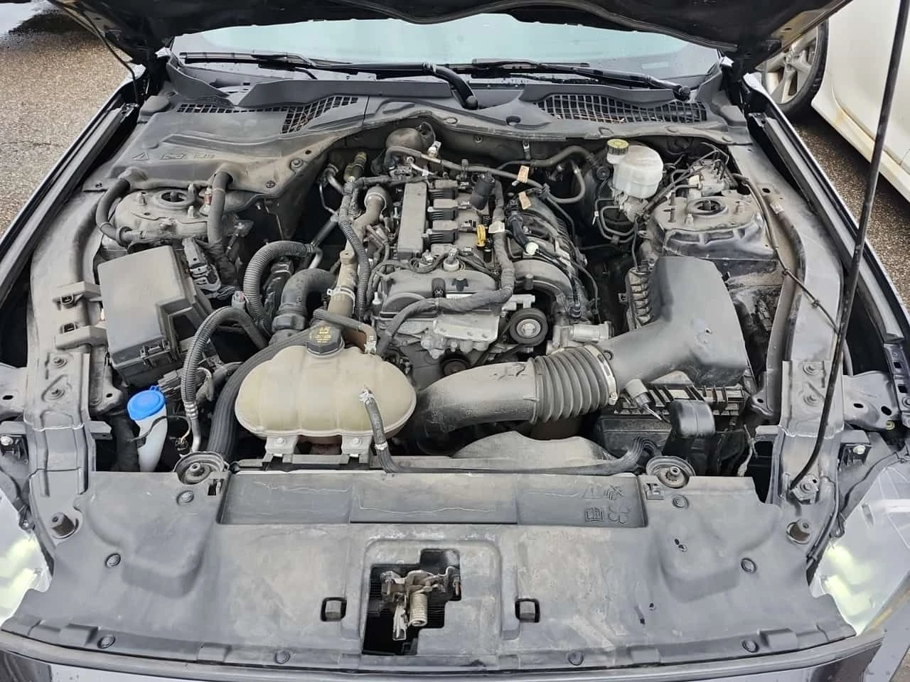 Ford Mustang * ECOBOOST * CARFAX * ���� �� �� | Mobile.bg � ����������� 15