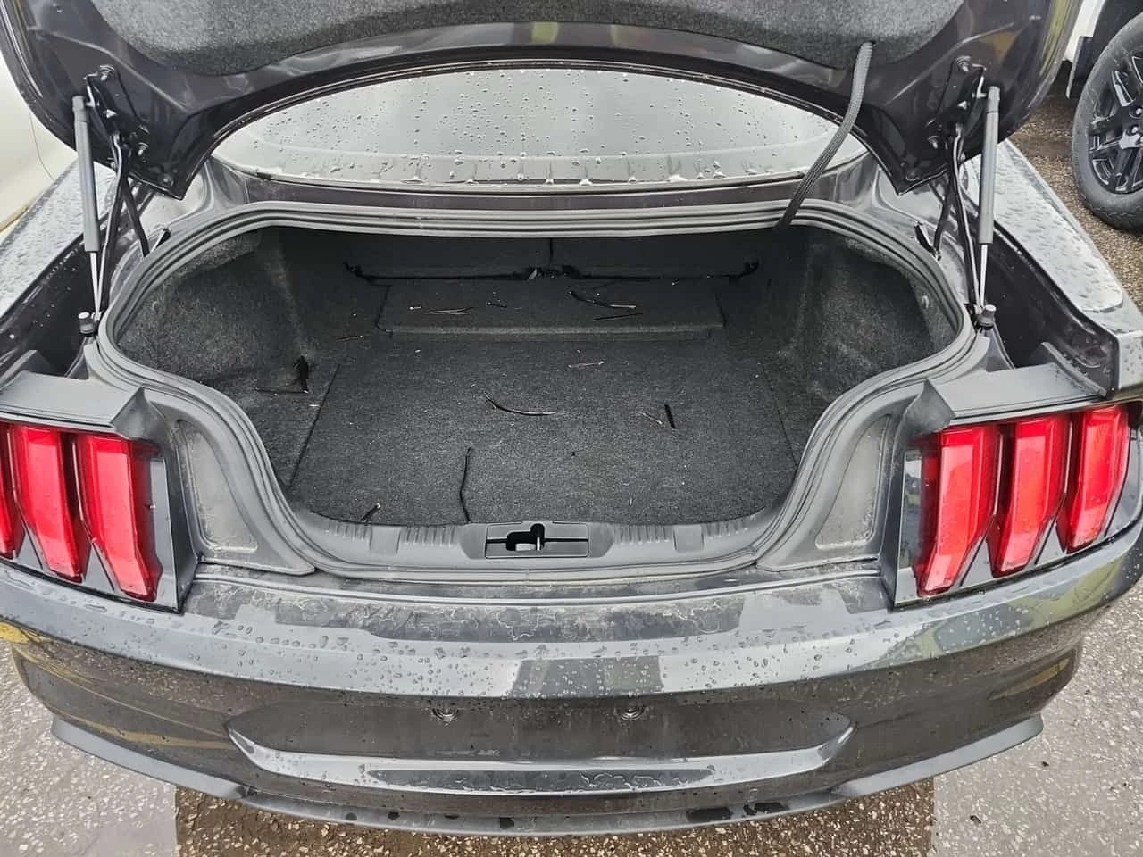 Ford Mustang * ECOBOOST * CARFAX * ���� �� �� | Mobile.bg � ����������� 14