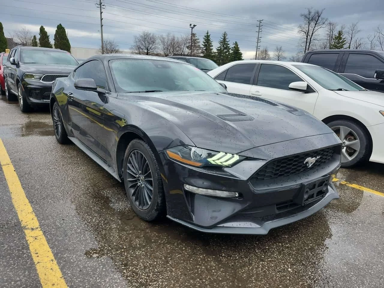 Ford Mustang * ECOBOOST * CARFAX * ���� �� �� | Mobile.bg � ����������� 2