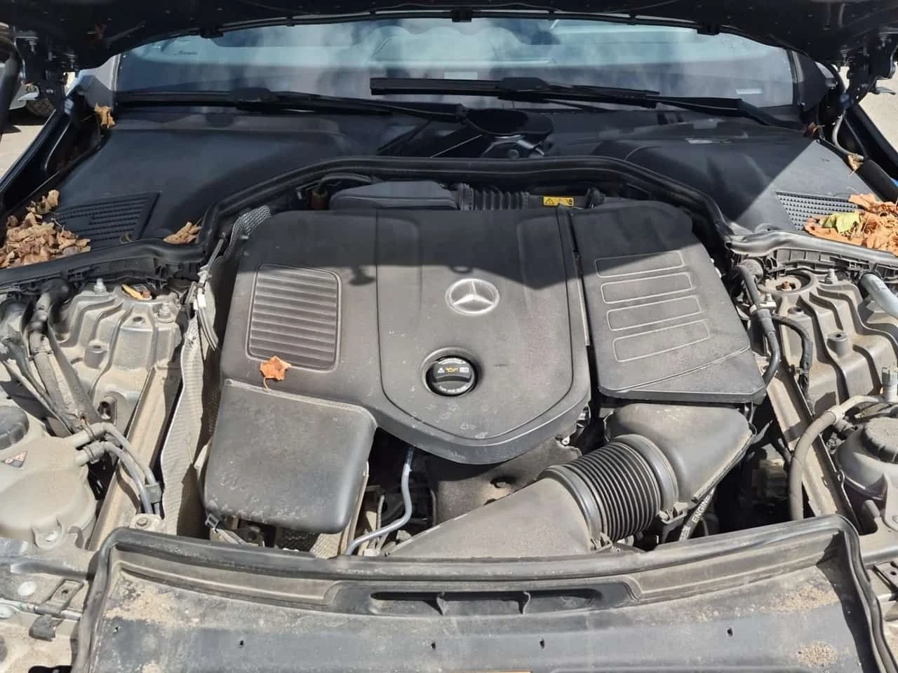 Mercedes-Benz C 300 * ���� ���������� * CARFAX * �� Mercedes *  | Mobile.bg � ����������� 14