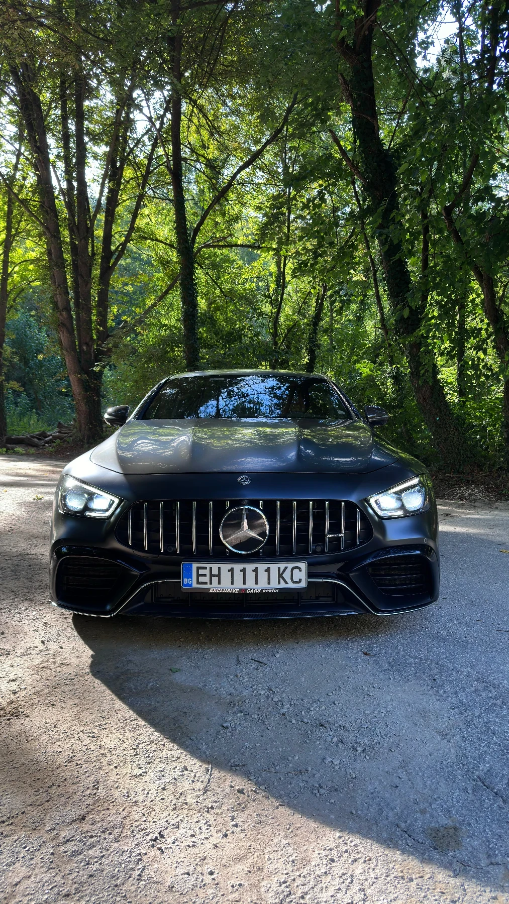 Mercedes-Benz AMG GT GT63s  - изображение 8