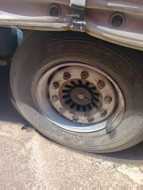 ����������� Koegel SN24 | Mobile.bg � ����� ������ 12