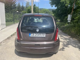 Lancia Musa, снимка 4