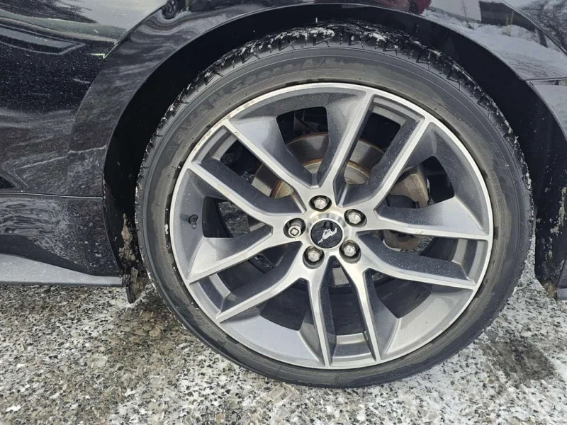 Ford Mustang  EcoBoost Premium / CARFAX/КАМЕРА/ОБДУХВАНЕ, снимка 7 - Автомобили и джипове - 53590640