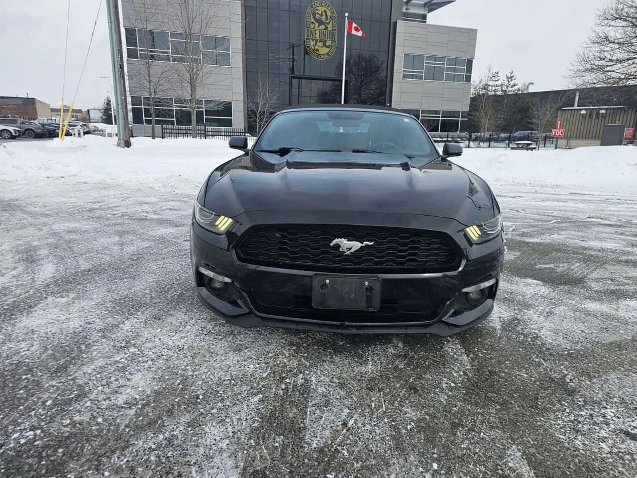 Ford Mustang  EcoBoost Premium / CARFAX/������/��������� | Mobile.bg � ����������� 6