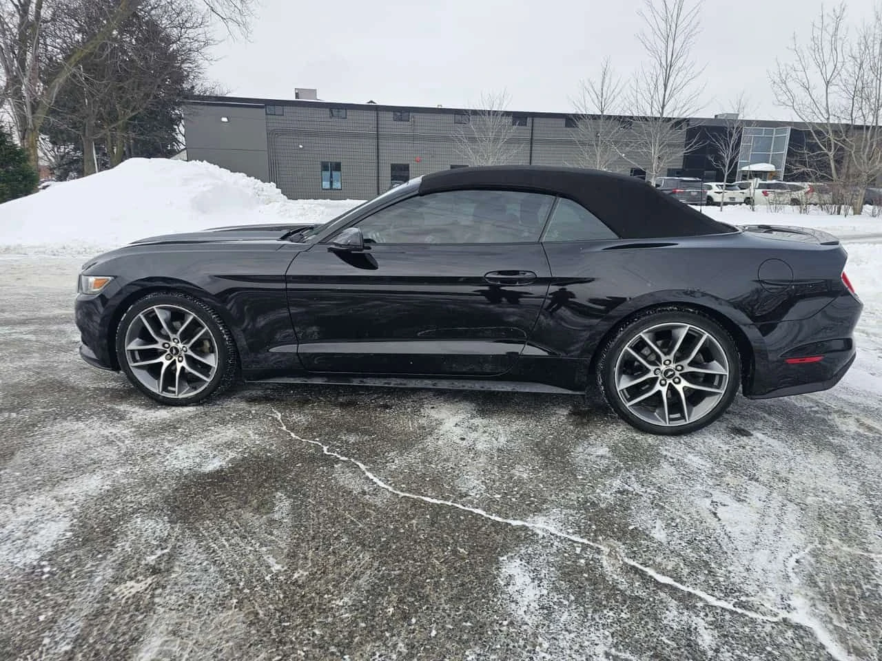 Ford Mustang  EcoBoost Premium / CARFAX/������/��������� | Mobile.bg � ����������� 2