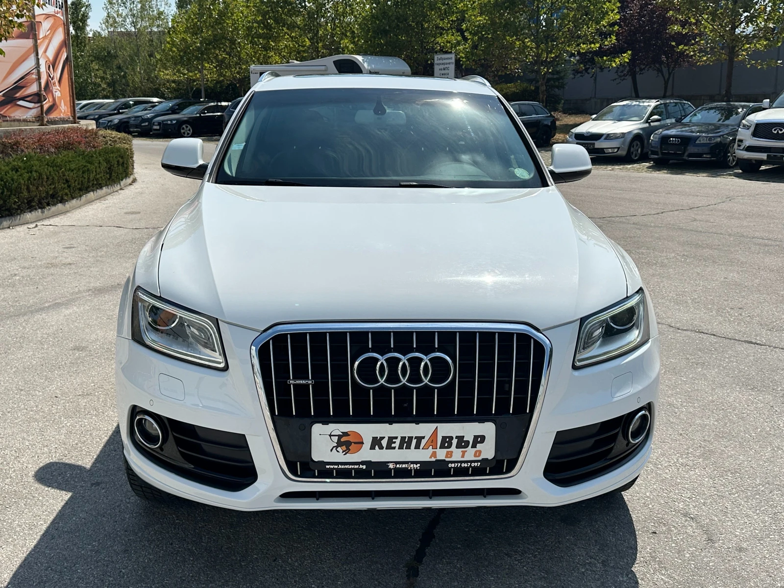 Audi Q5 3.0d 245 к.с. - изображение 7