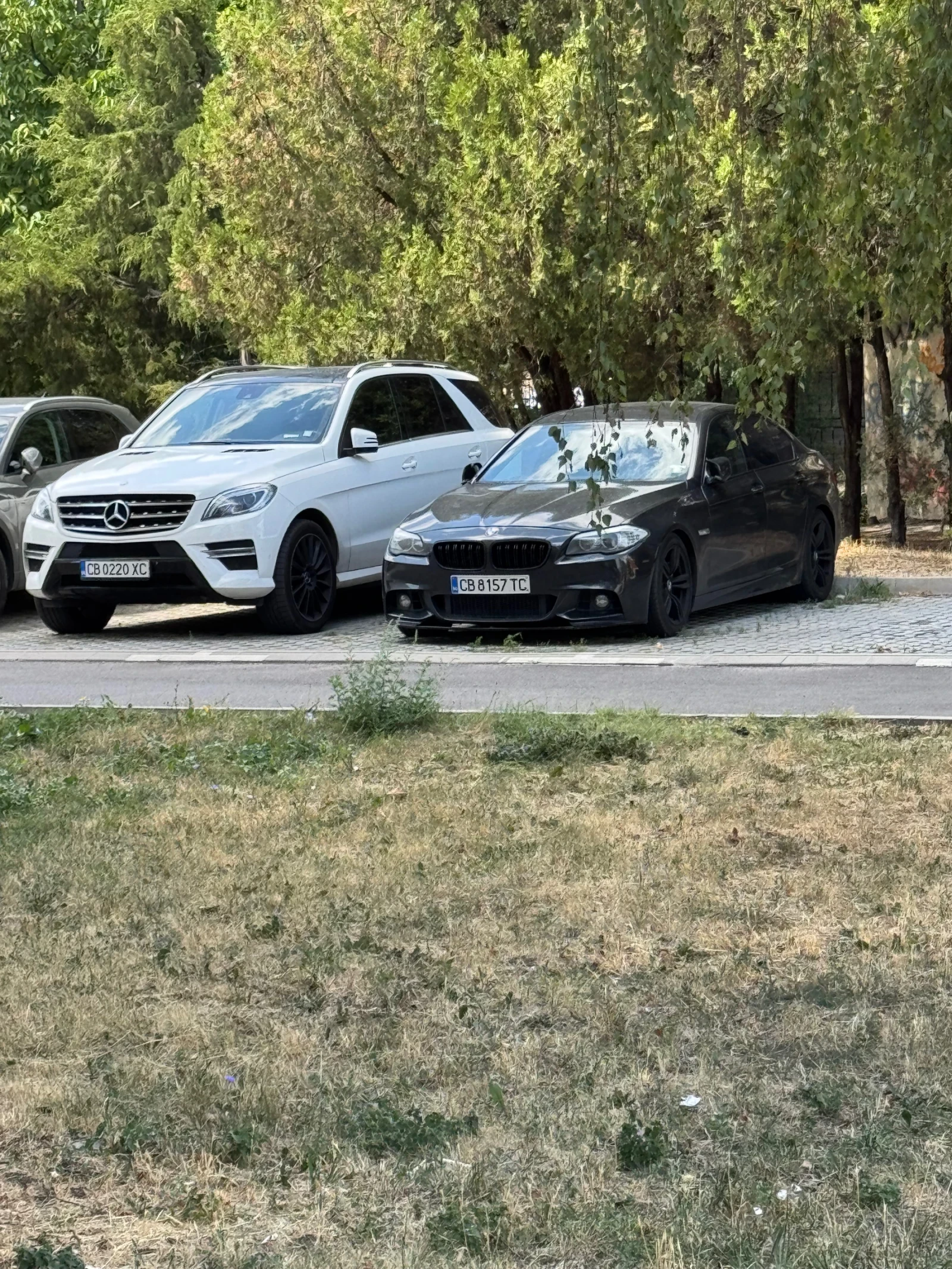 Mercedes-Benz ML 350  - изображение 6