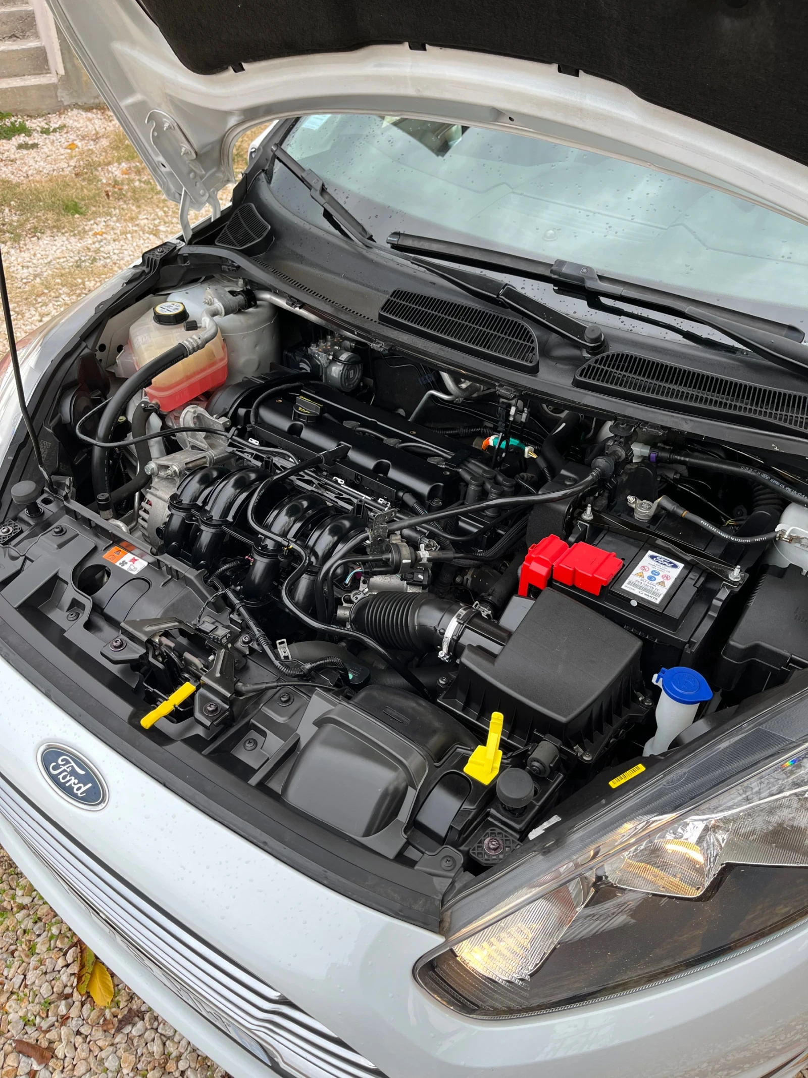 Ford Fiesta 1.25   | Mobile.bg   12