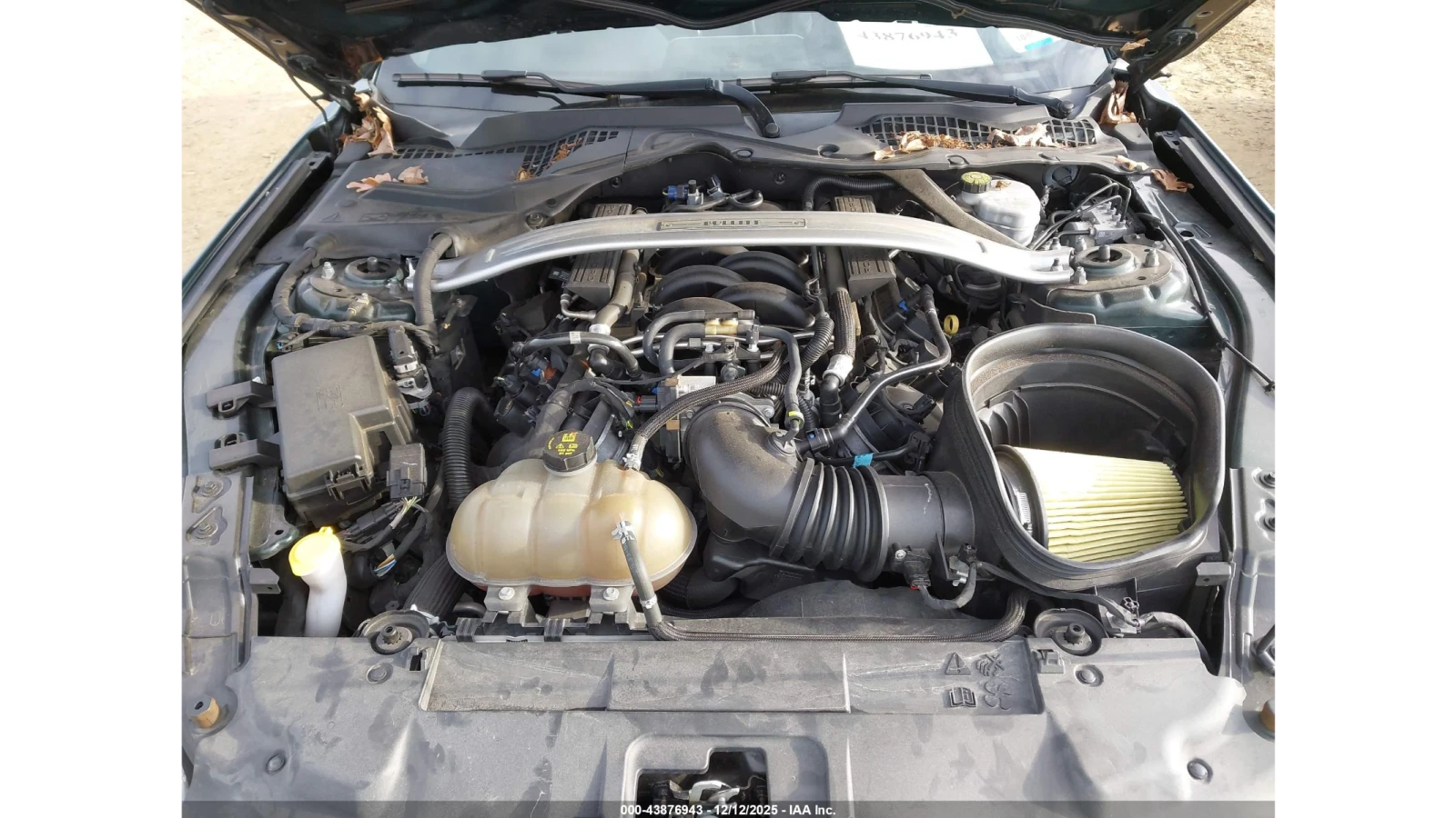 Ford Mustang  - изображение 2