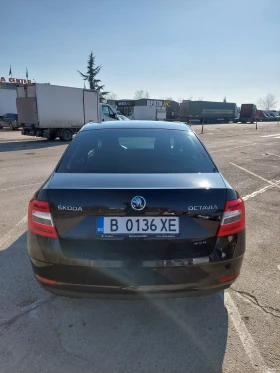 Skoda Octavia 3 Facelift 2.0 TDI 150hp 4x4 DSG7 - 13500 € / 26403.70 лв. - 29966673 5