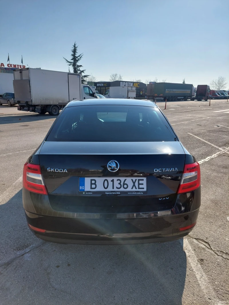 Skoda Octavia 3 Facelift 2.0 TDI 150hp 4x4 DSG7, снимка 5 - Автомобили и джипове - 53222376
