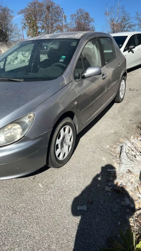 Peugeot 307 1.9d, снимка 1