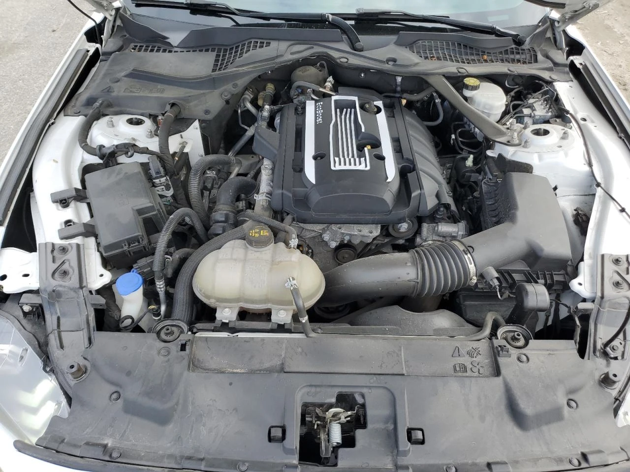 Ford Mustang ECOBOOST* BLACK* LEATHER* CABRIO*  | Mobile.bg   11