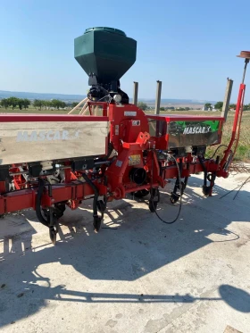      Mascar futura 5