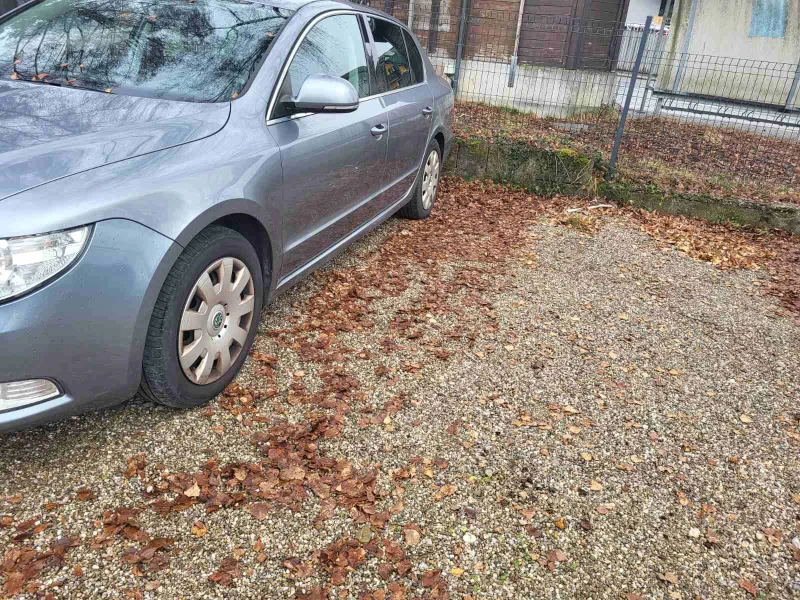 Skoda Superb 1.9 TDI, снимка 2 - Автомобили и джипове - 52858614