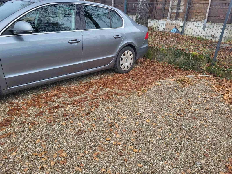 Skoda Superb 1.9 TDI, снимка 8 - Автомобили и джипове - 52858614