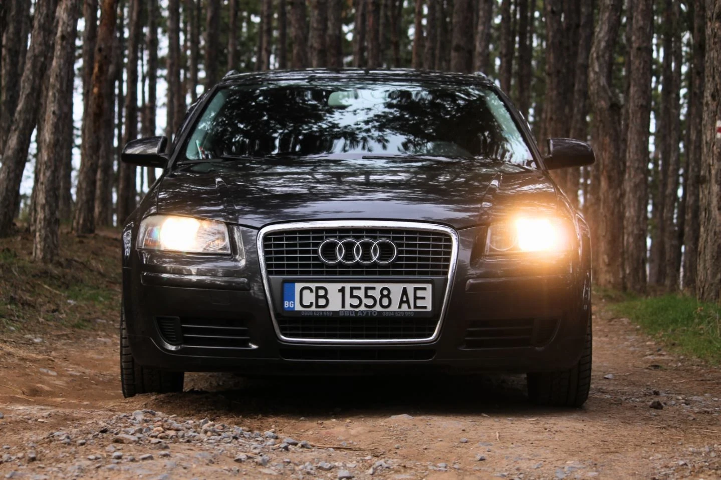 Audi A3 1.9TDI SPORTBACK, снимка 9 - Автомобили и джипове - 54169234