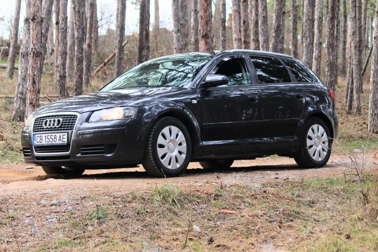 Audi A3 1.9TDI SPORTBACK, снимка 10 - Автомобили и джипове - 54169234