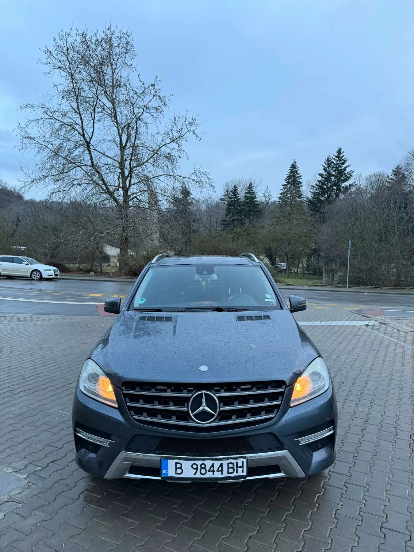Mercedes-Benz ML 350 ML350 Blutec