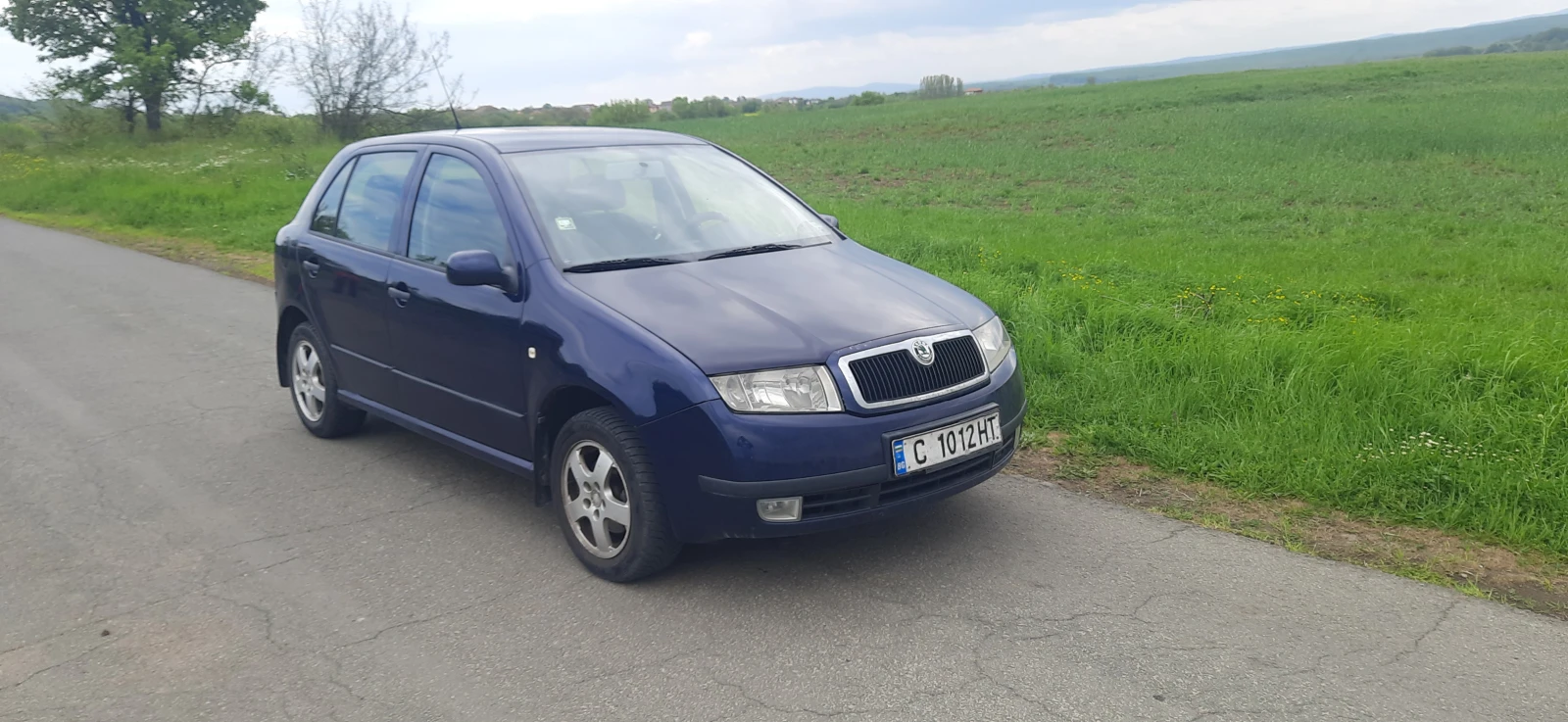 Skoda Fabia 1.9, снимка 3 - Автомобили и джипове - 54486479