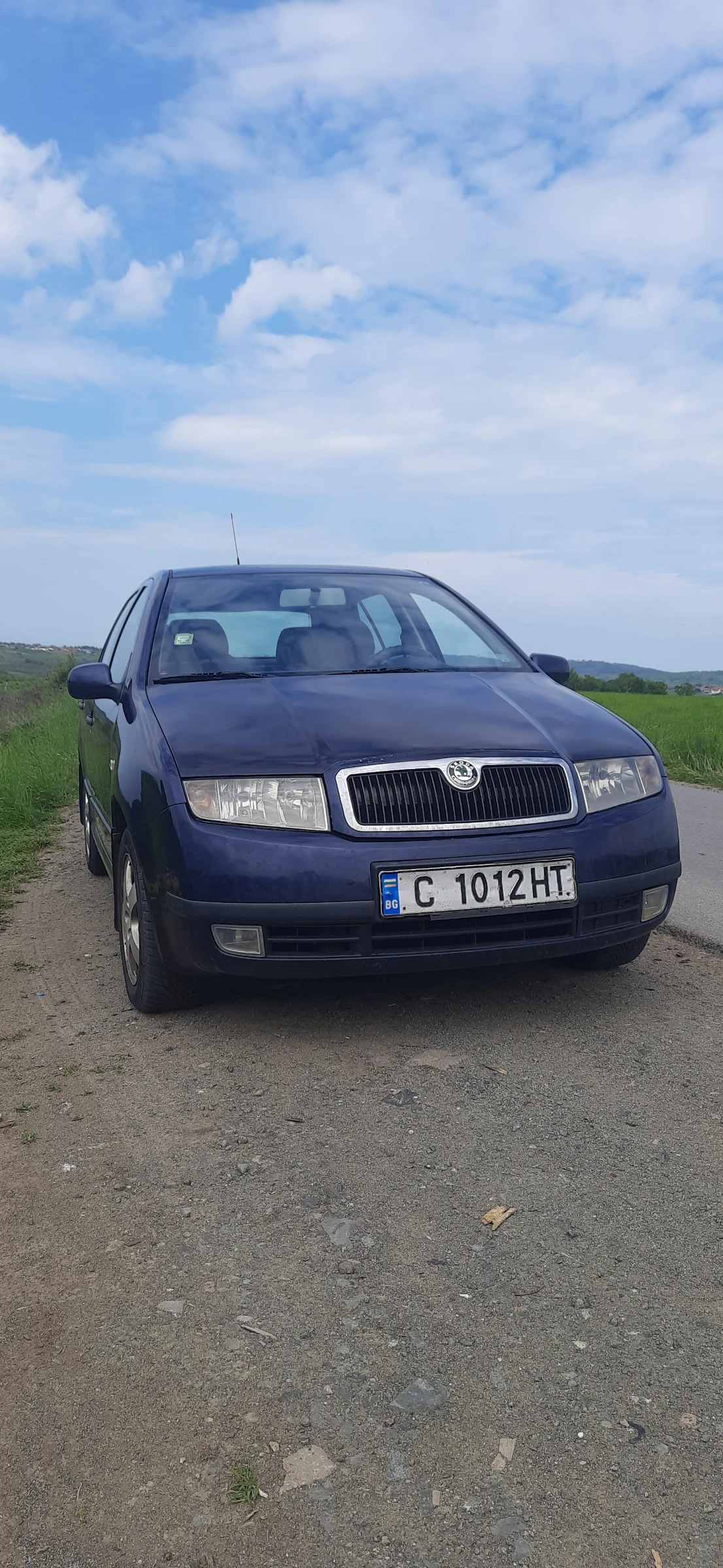 Skoda Fabia 1.9, снимка 8 - Автомобили и джипове - 54486479