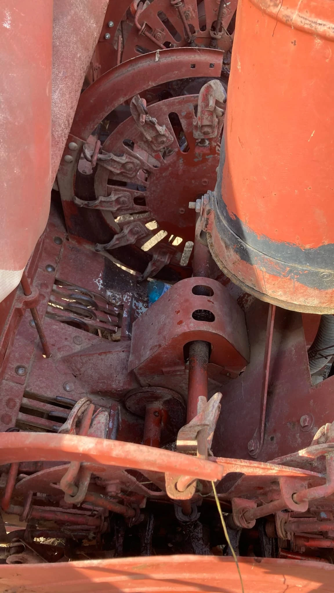 Друг вид Внос Картофосадачка - изображение 3