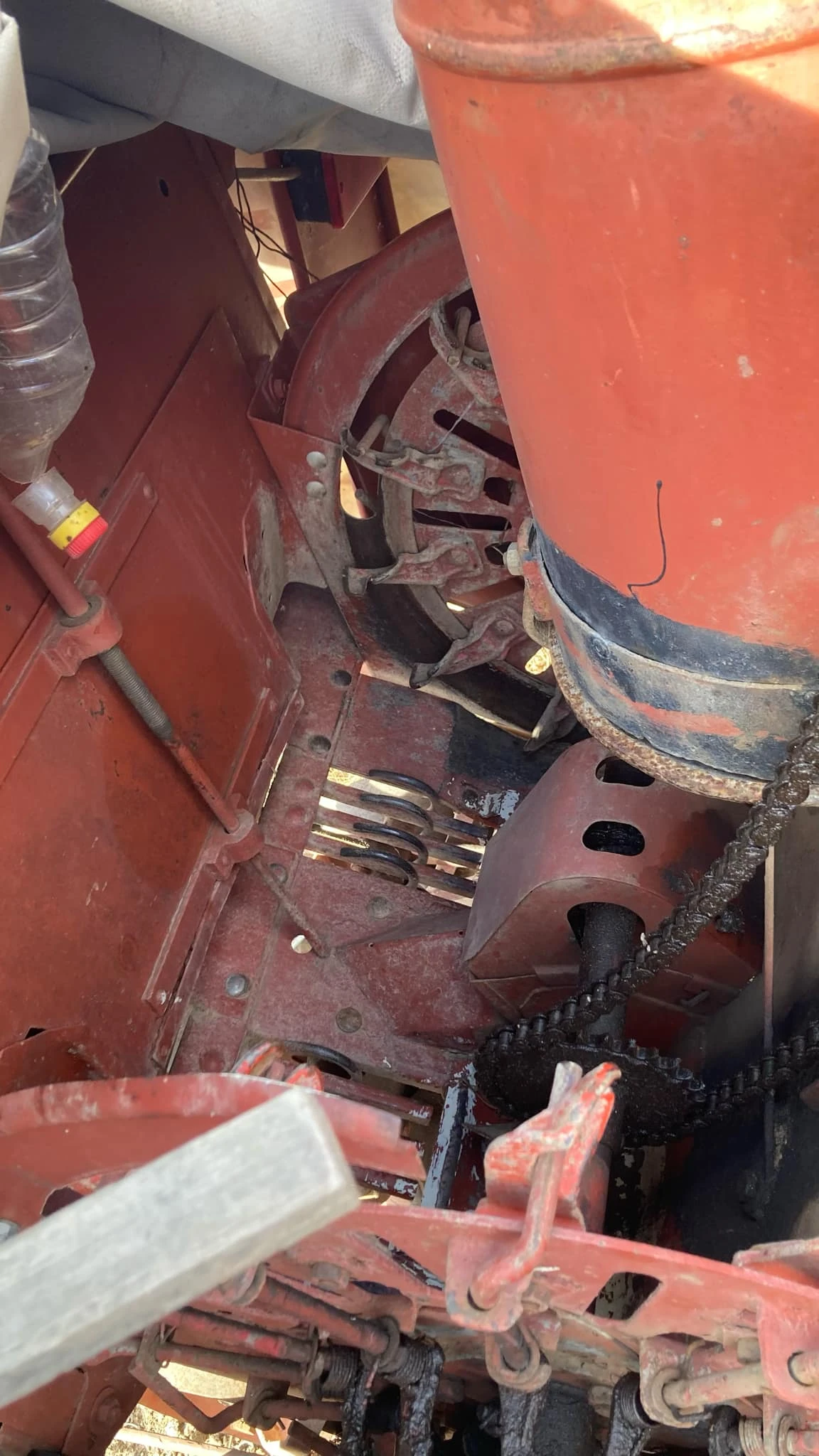 Друг вид Внос Картофосадачка - изображение 6