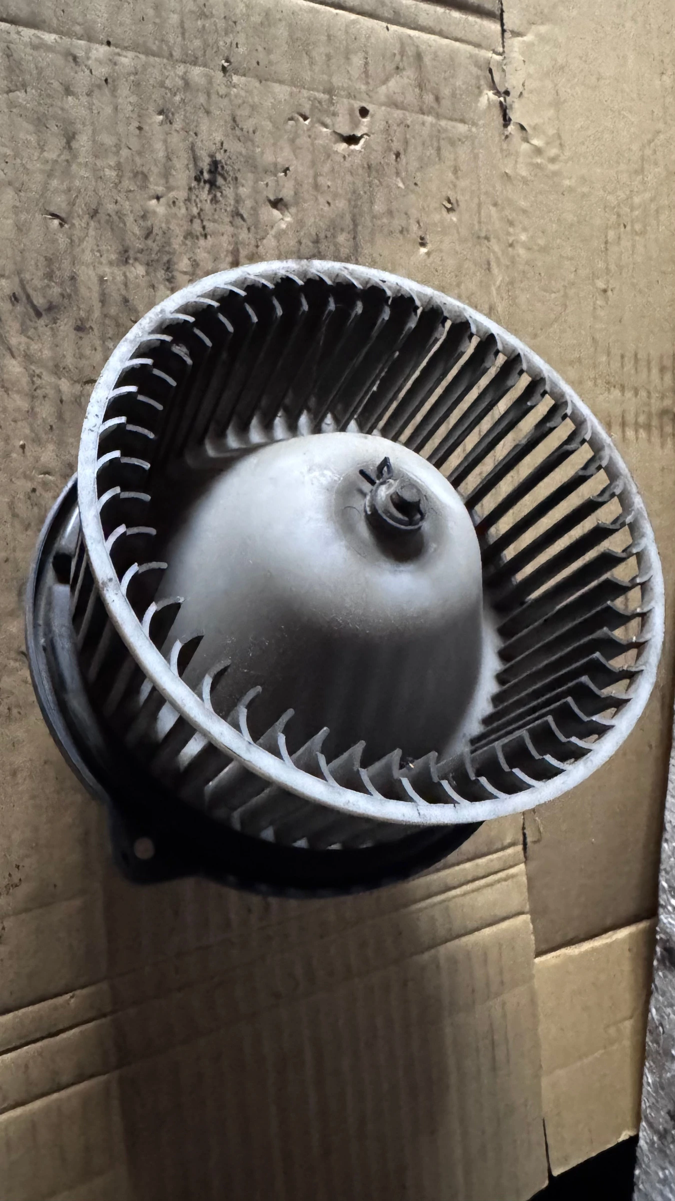 ���������� �� ����� �a Toyota Celica - 194000-5031 | Mobile.bg � ����������� 1