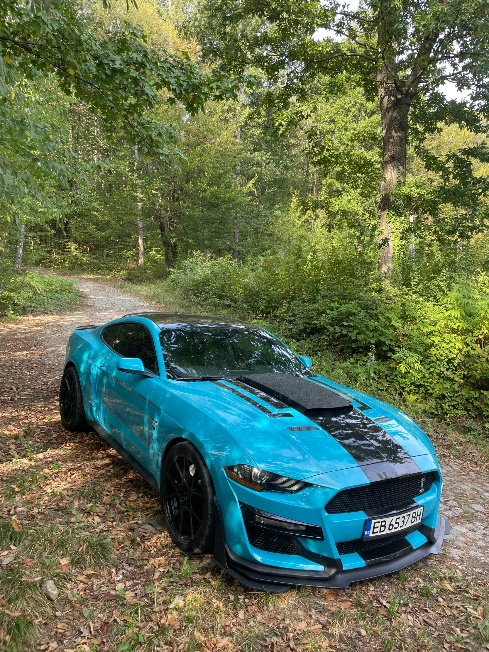 Ford Mustang GT 5.0 - изображение 5