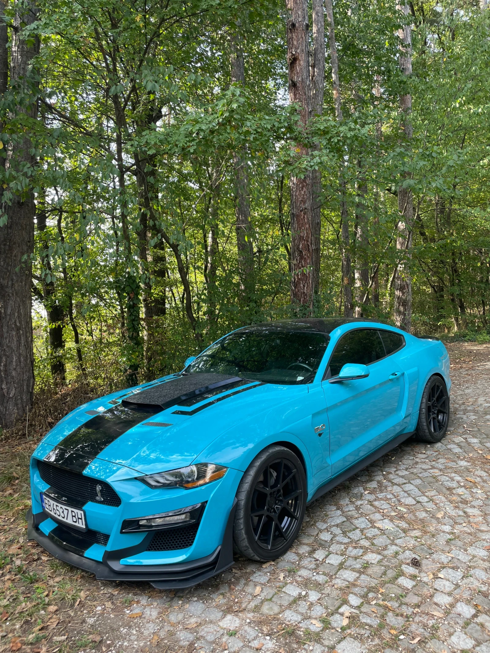 Ford Mustang GT 5.0 - изображение 7