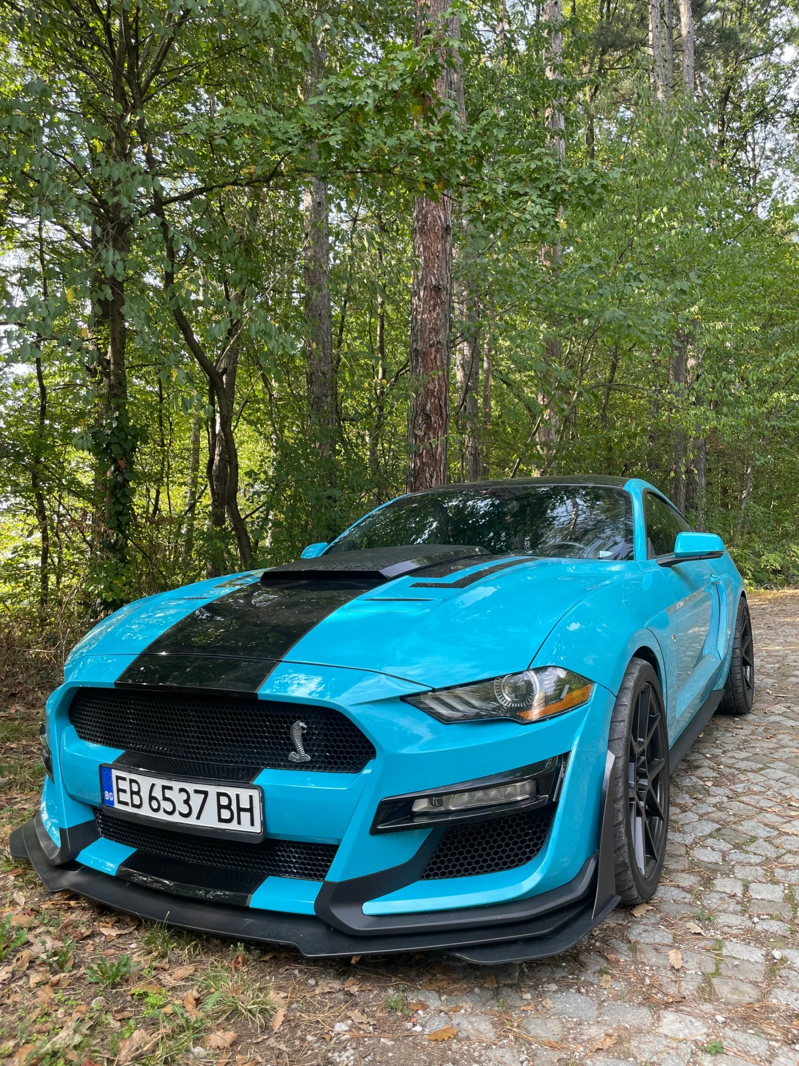 Ford Mustang GT 5.0 - изображение 2