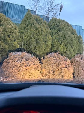 BMW 335 BMW 335 ixDrive  - 10800 € / 21122.96 лв. - 95185708 14