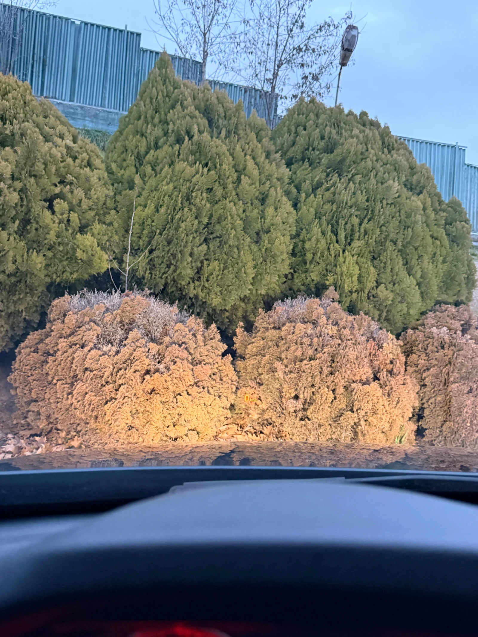 BMW 335 BMW 335 ixDrive  | Mobile.bg � ����������� 14