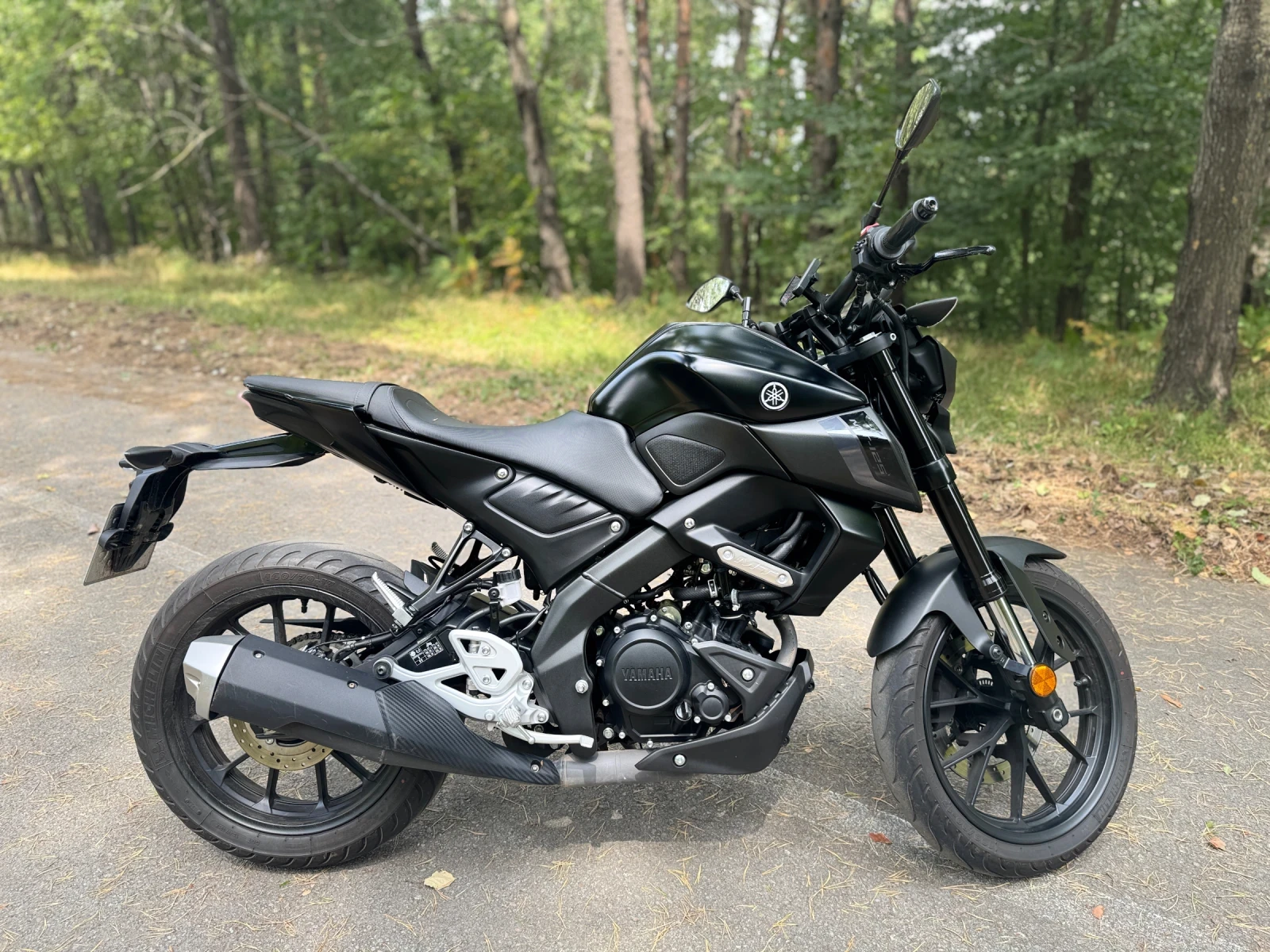 Yamaha Mt-01  - изображение 2