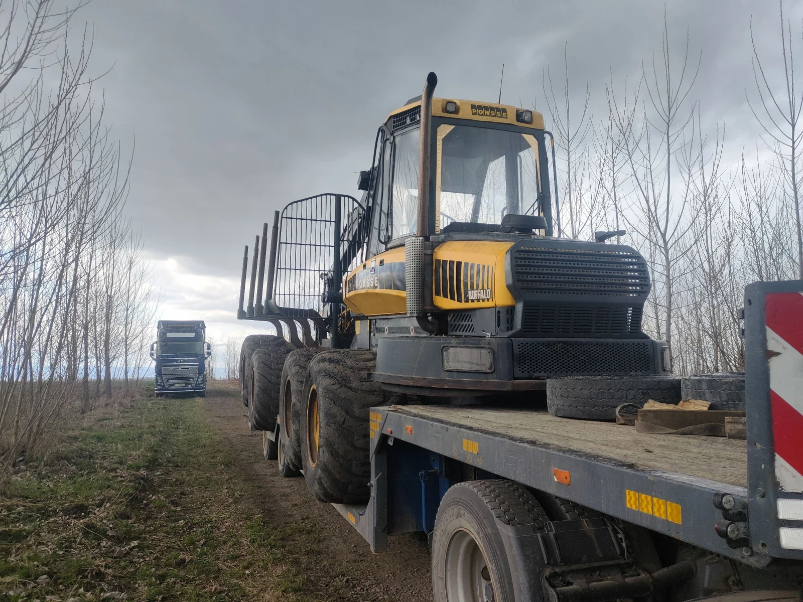 Специализирани машини Машини за дърводобив Тракове и вериги за Понсе Бъфало 2010 година, снимка 11 - Селскостопанска техника - 54180742