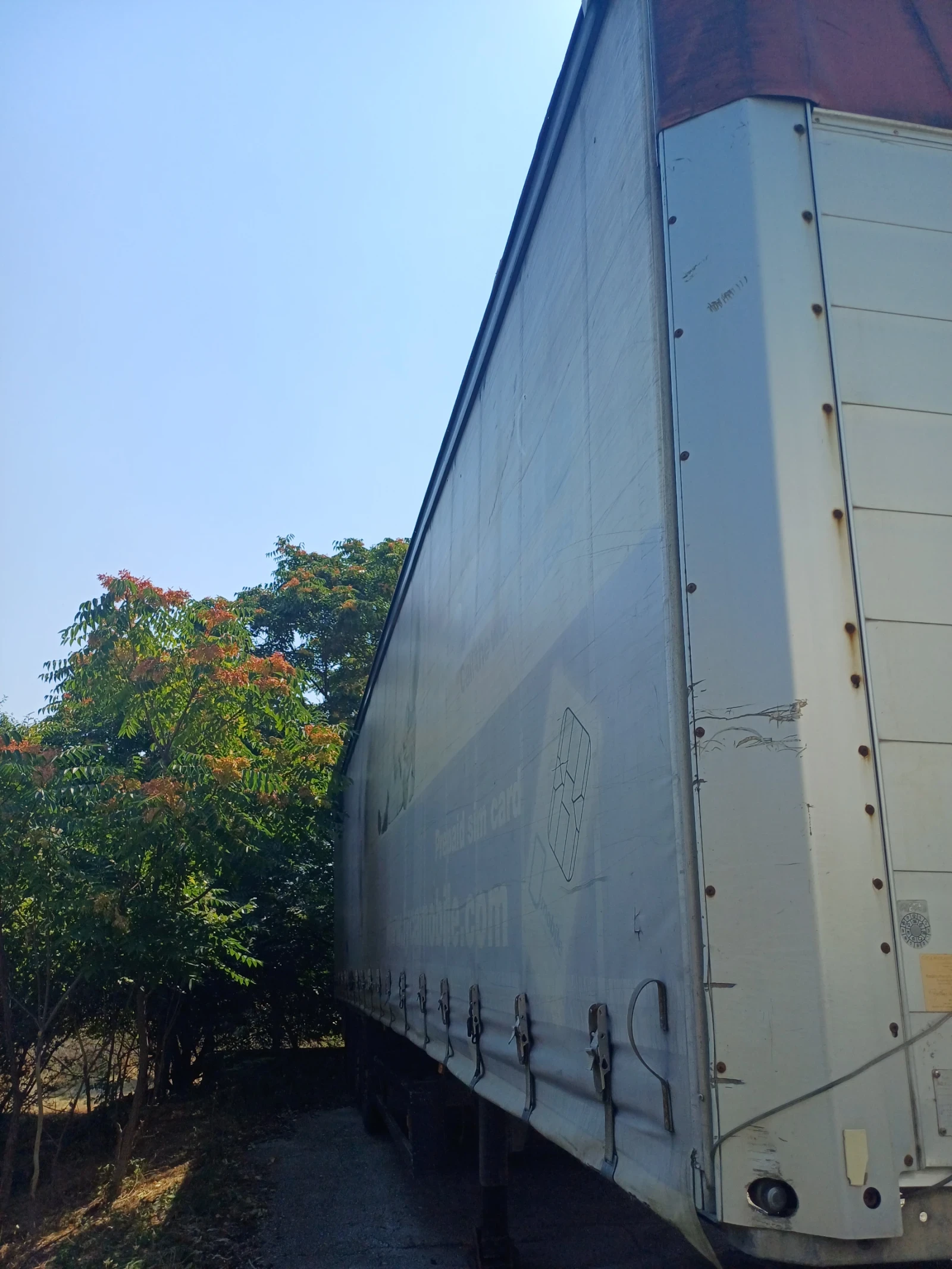 ����������� Schmitz Schmitz so 1 | Mobile.bg � ����������� 3
