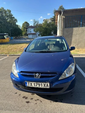  Peugeot 307