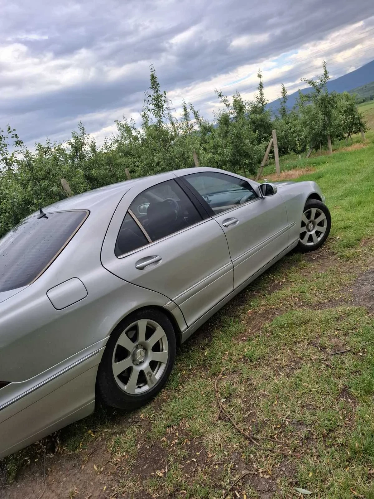 Mercedes-Benz S 320  - изображение 4