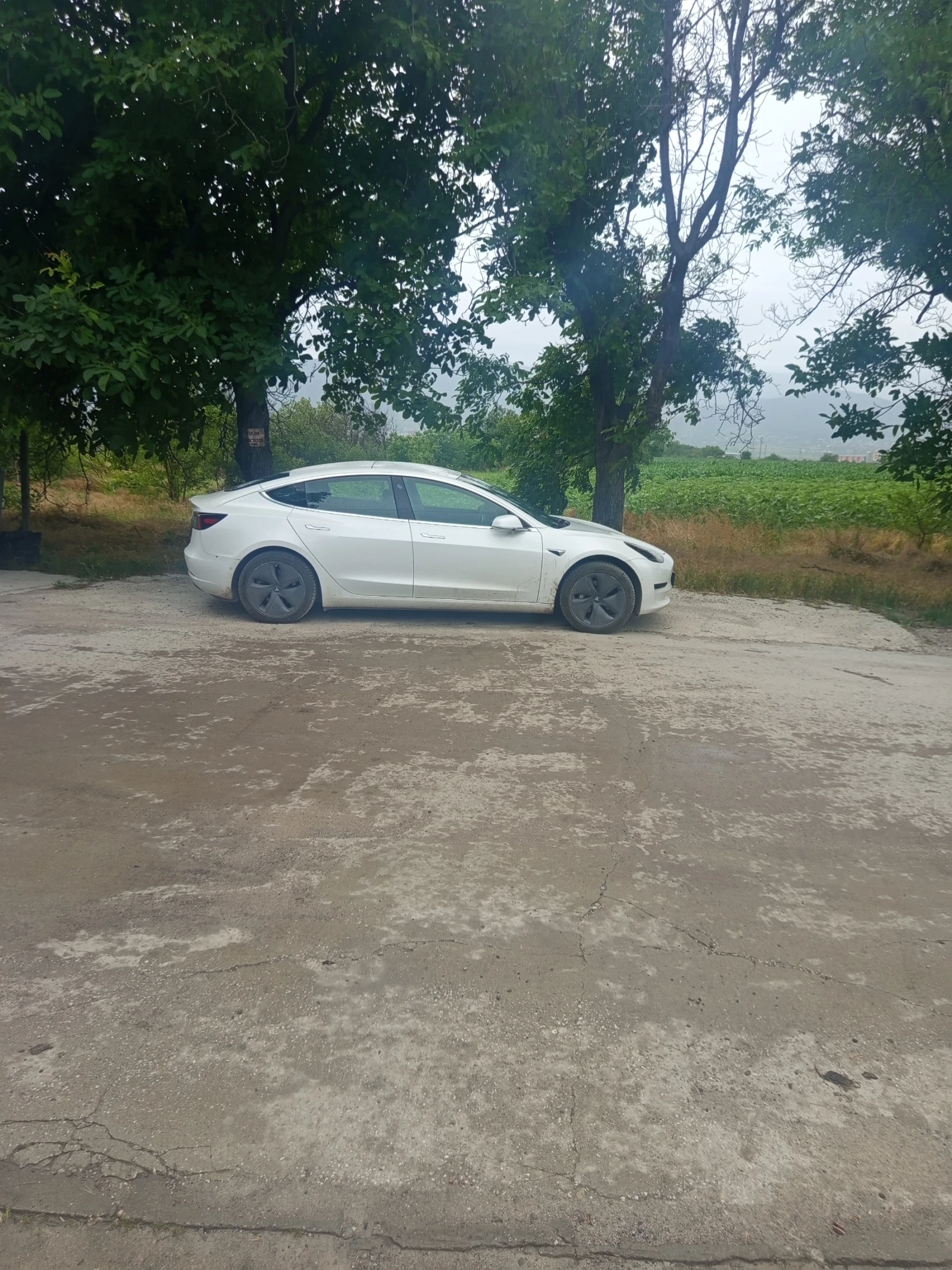 Tesla Model 3 | Mobile.bg � ����������� 1