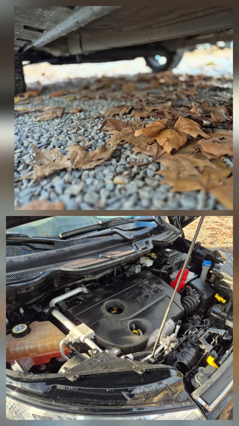 Ford EcoSport 1.5TDCI- Titanium, снимка 16 - Автомобили и джипове - 46940616