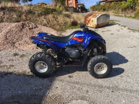 Kawasaki Kfx, снимка 3