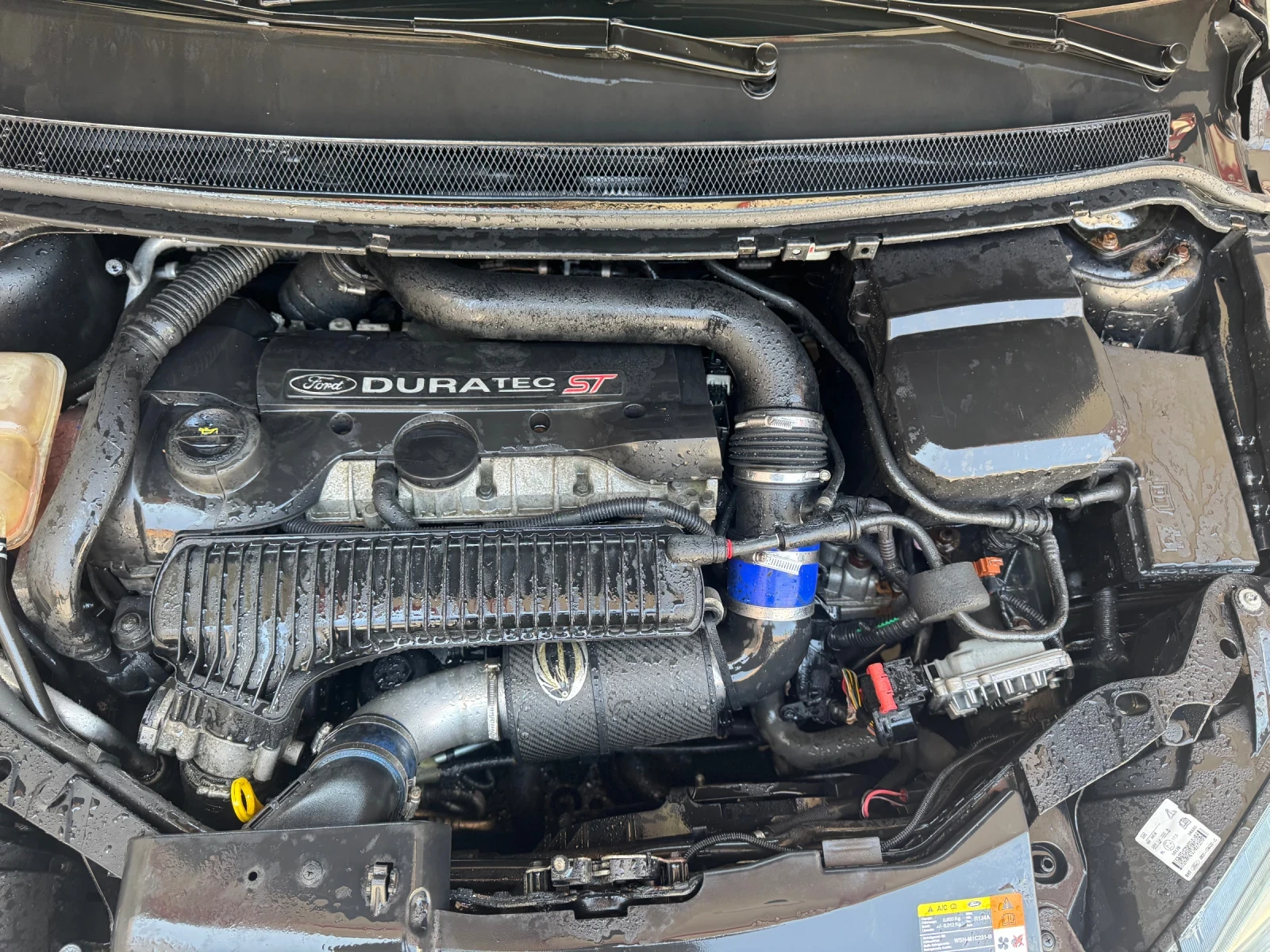 Ford Focus 2 ST - изображение 3