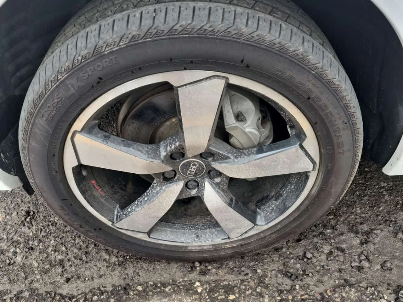 Audi Q5 PROGRESSIV * CARFAX * БЕЗ ПЪРВОНАЧАЛНА ВНОСКА, снимка 6 - Автомобили и джипове - 55404880
