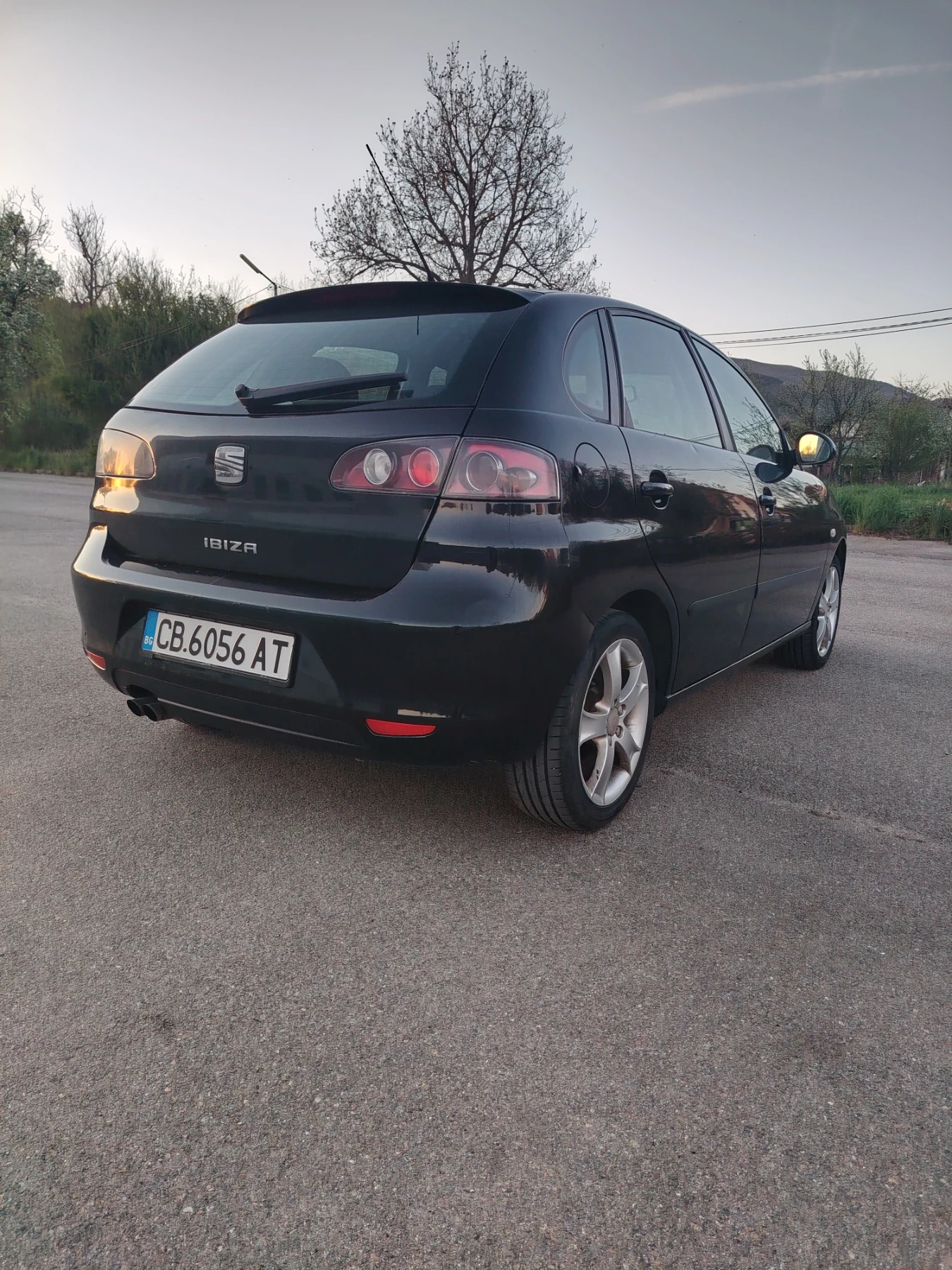 Seat Ibiza 1.9 TDI, снимка 2 - Автомобили и джипове - 54344715
