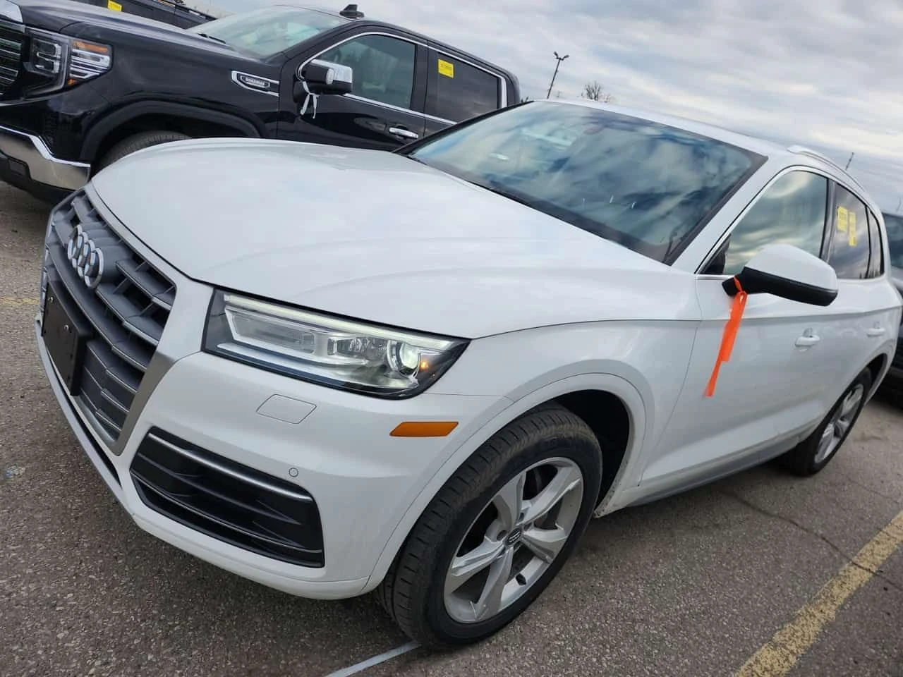 Audi Q5 * PROGRESSIV * CARFAX * ���� �� �� | Mobile.bg � ����������� 1