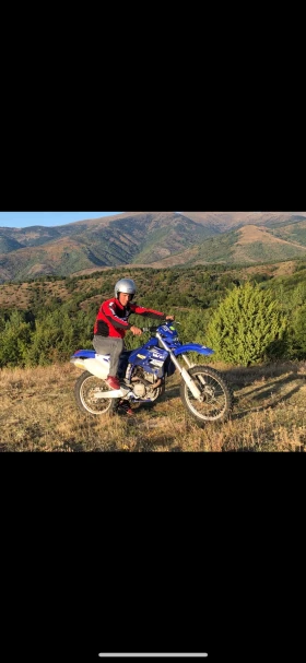 Yamaha Wr 450 F  | Mobile.bg    1